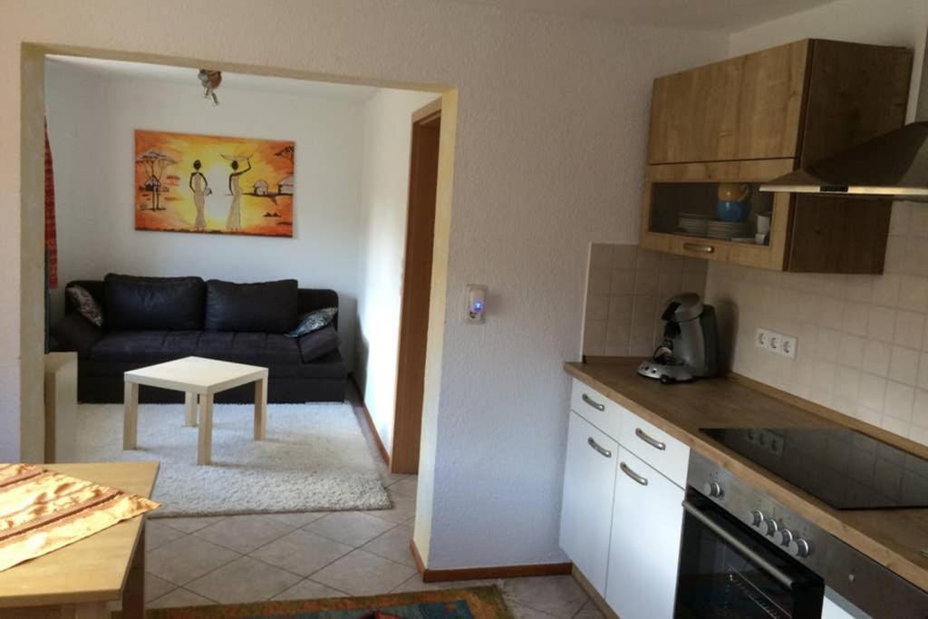 Urlaub Mit Blick Auf Schiltachs Fachwerkhaeuser Eksteriør billede